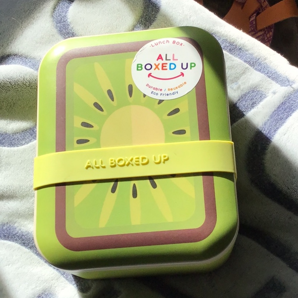 Eco Friendly Lunch Box